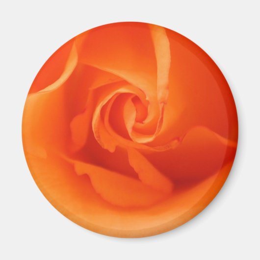 Helderlijk Oranje Roos Magneet (Voorkant)