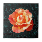 Helderlijk oranje roos tegeltje (Voorkant)