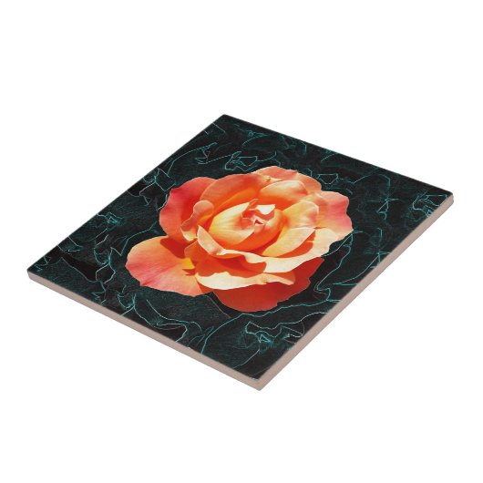 Helderlijk oranje roos tegeltje (Zijkant)