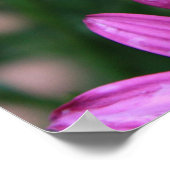 Helderlijk Paars ventilatorPoster Poster (Hoek)