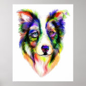 Helderrand Collie-Poster Poster (Voorkant)