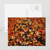 Helderrode gele herfstleien briefkaart (Voorkant / Achterkant)