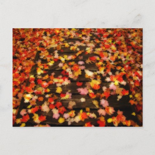 Helderrode gele herfstleien briefkaart (Voorkant)