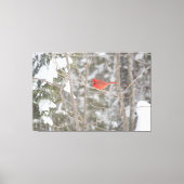 Helderrode kardinaal canvas afdruk (Voorkant)