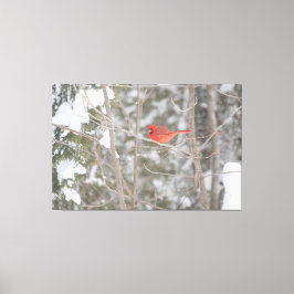 Helderrode kardinaal canvas afdruk