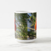 Helderrode kardinaal koffiemok (Center)