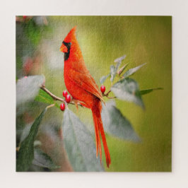 Helderrode kardinaal legpuzzel