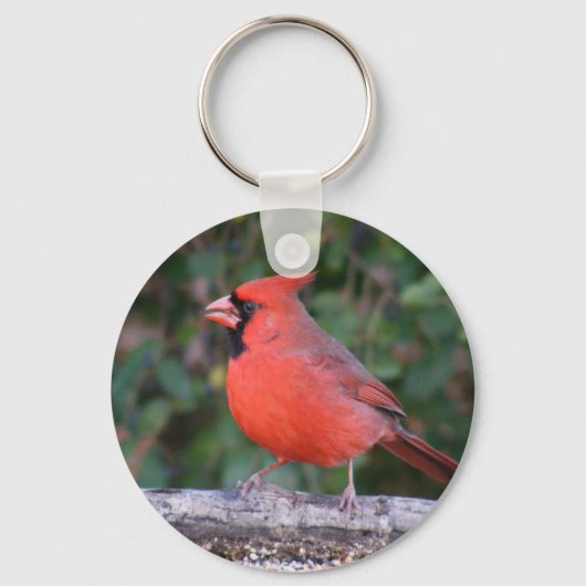 Helderrode kardinaal sleutelhanger (Voorkant)