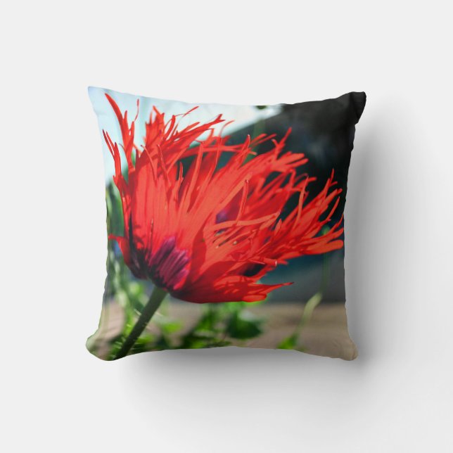 Helderrode klaproos bloem kussen (Voorkant)