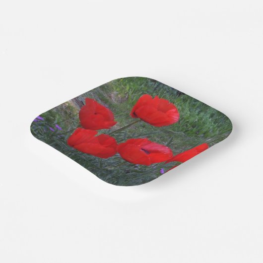 Helderrode klaprozen papieren bordje (Gebogen)