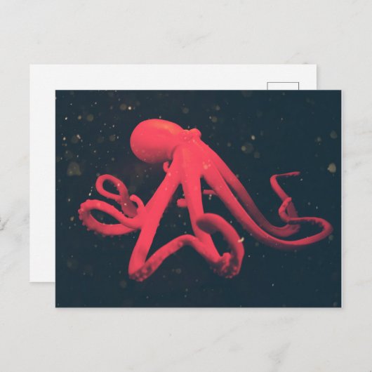 Helderrode octopus briefkaart (Voorkant / Achterkant)