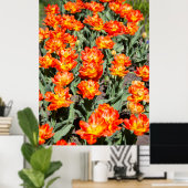Helderrode oranje gembertulpen poster (Thuiskantoor)