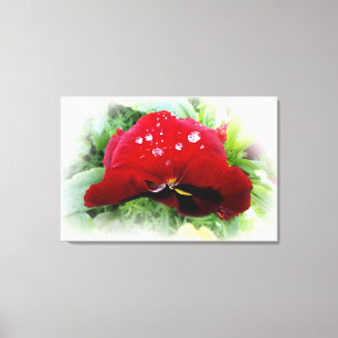 Helderrode pansie canvas afdruk