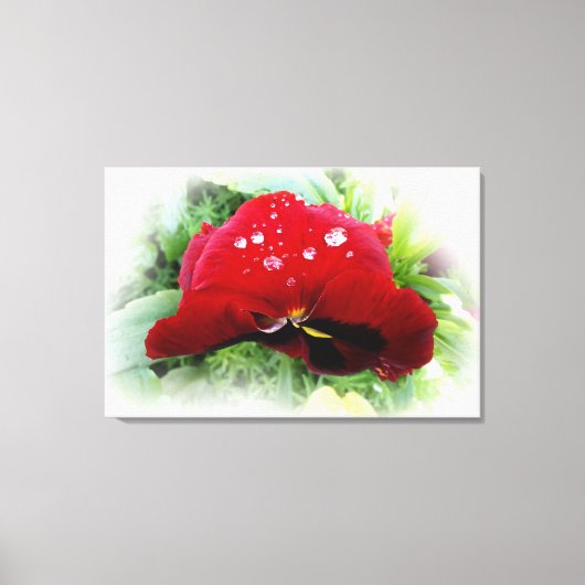 Helderrode pansie canvas afdruk (Voorkant)
