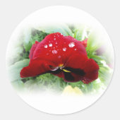 Helderrode pansie ronde sticker (Voorkant)