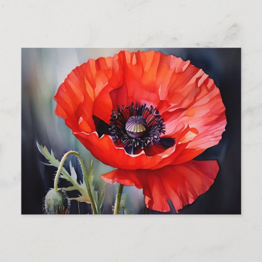 Helderrode papaver met donker centrum briefkaart (Voorkant)