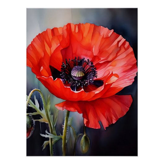 Helderrode papaver met donker centrum perfect poster (Voorkant)