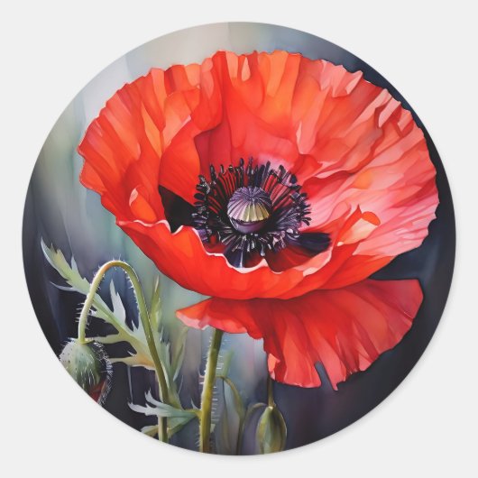 Helderrode papaver met donker centrum ronde sticker (Voorkant)