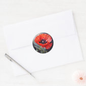Helderrode papaver met donker centrum ronde sticker (Envelop)