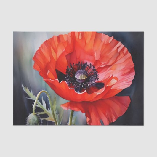 Helderrode papaver met donker centrum tissuepapier (Voorkant)
