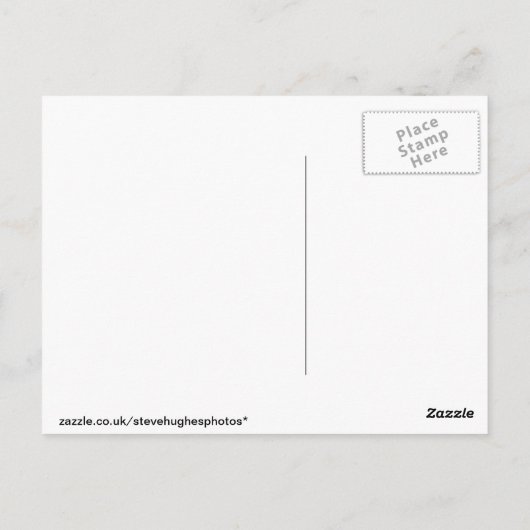 Helderrode papaver op grijze achtergrond briefkaart (Achterkant)