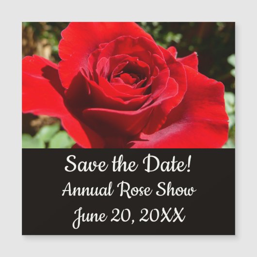 Helderrode rode rozenbloem mooie Floral (Voorkant)