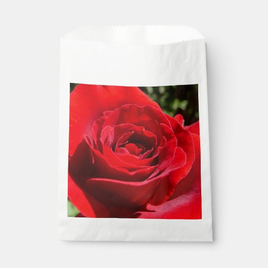 Helderrode rode rozenbloem mooie Floral Bedankzakje (Voorkant)