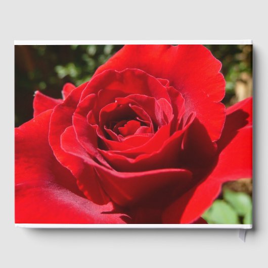 Helderrode rode rozenbloem mooie Floral Gastenboek (Achterkant)