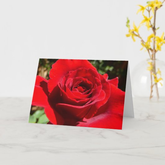 Helderrode rode rozenbloem mooie Floral Kaart (Gele Bloem)