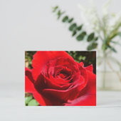 Helderrode rode rozenbloem mooie Floral Kaart (Staand voorkant)