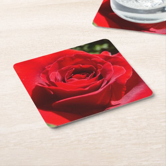 Helderrode rode rozenbloem mooie Floral Kartonnen Onderzetters (Schuin)