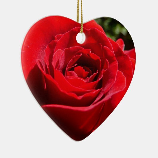 Helderrode rode rozenbloem mooie Floral Keramisch Ornament (Rechts)