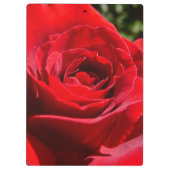 Helderrode rode rozenbloem mooie Floral Klembord (Achterkant)