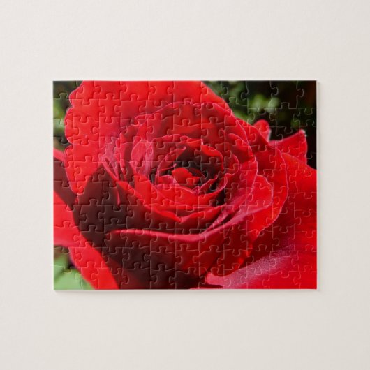Helderrode rode rozenbloem mooie Floral Legpuzzel (Horizontaal)