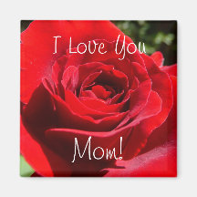 Helderrode rode rozenbloem mooie Floral