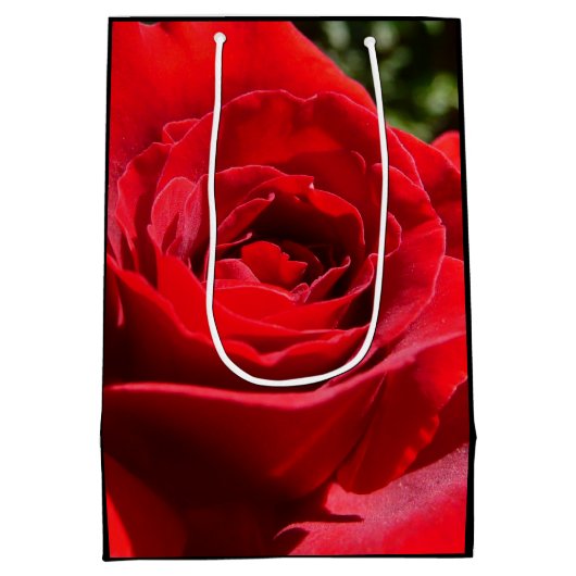 Helderrode rode rozenbloem mooie Floral Medium Cadeauzakje (Achterkant)