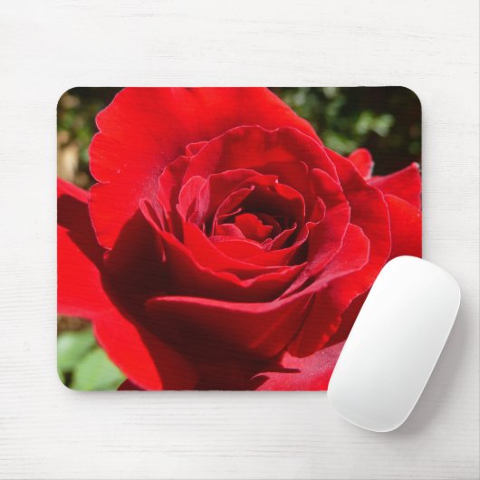 Helderrode rode rozenbloem mooie Floral Muismat (Met muis)