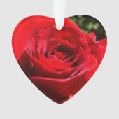 Helderrode rode rozenbloem mooie Floral Ornament (voorkant)