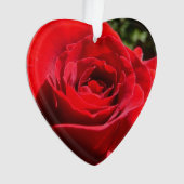 Helderrode rode rozenbloem mooie Floral Ornament (voorkant)