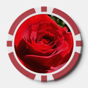 Helderrode rode rozenbloem mooie Floral Poker Chips