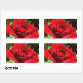 Helderrode rode rozenbloem mooie Floral Rechthoekige Sticker (Vel)