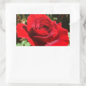 Helderrode rode rozenbloem mooie Floral Rechthoekige Sticker (Tas)