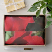 Helderrode rode rozenbloem mooie Floral Tissuepapier (Geschenk)