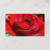 Helderrode rode rozenbloem mooie Floral Visitekaartje (Achterkant)