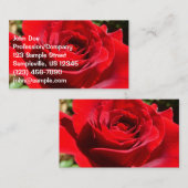 Helderrode rode rozenbloem mooie Floral Visitekaartje (Voorkant / Achterkant)