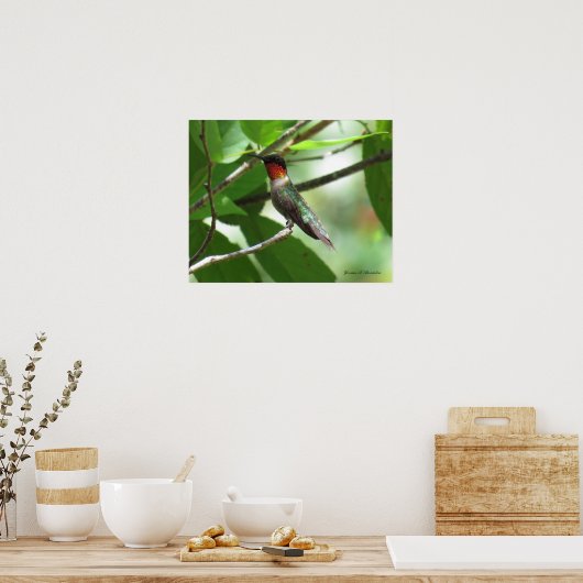 Helderrode roodkever poster (Keuken)