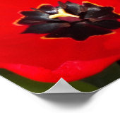 Helderrode tulpen bloem fotografisch poster (Hoek)