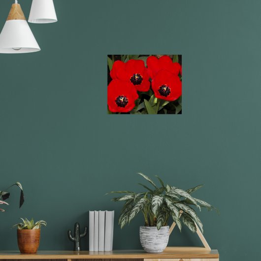 Helderrode tulpen bloem fotografisch poster (Woonkamer 1)