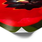 Helderrode Tulpen Floral Fotografisch glanzend Perfect Poster (Hoek)