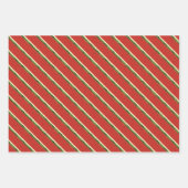 Helderrode Waterverf Watermeloen Flat Set Inpakpapier Vel (Voorkant 3)